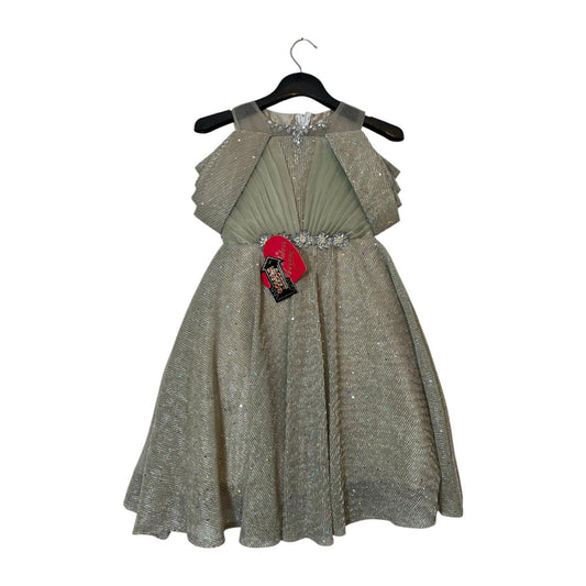 Gorgeous Glittery Sage Green Frock with Layered Detailing